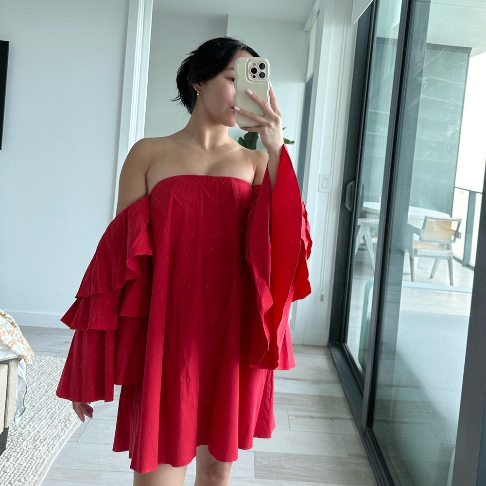 Carolina Constas Off the Shoulder Ruffle Dress in Size P